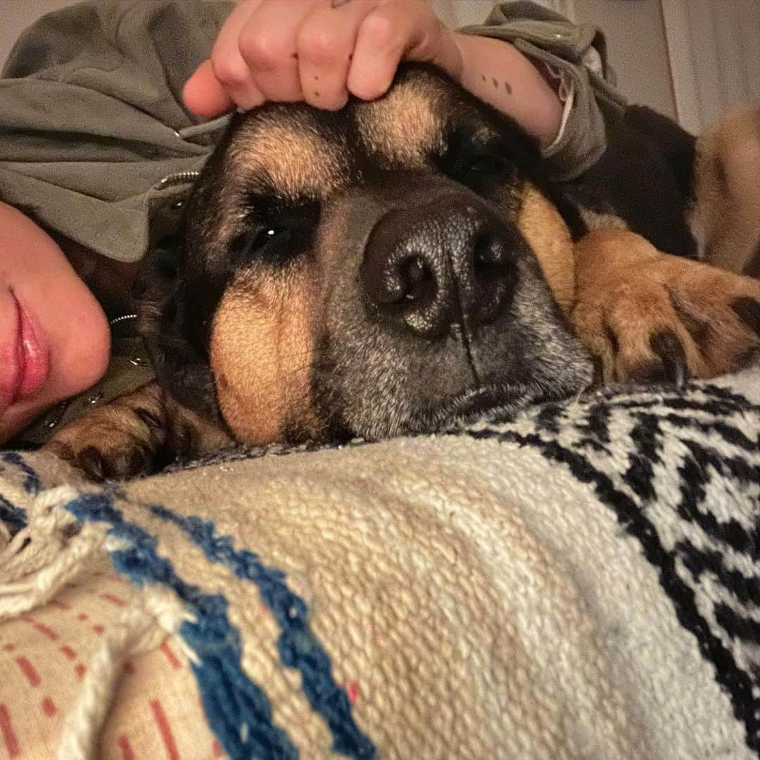 ブリアナ・エヴィガンさんのインスタグラム写真 - (ブリアナ・エヴィガンInstagram)「My sweet boy maxito #maxthecomebackdog. The one that taught me unconditional love before my husband and son came along. We must never forget. Animals are the silent whispers of the world that give us everything leading up to what’s dealt to us. He is the calm, the reminder, the peace maker. The love that filled me when I had so many nights feeling empty. Now I have him and so much more… ♥️ the guardian of my galaxy.」7月18日 4時28分 - brianaevigan