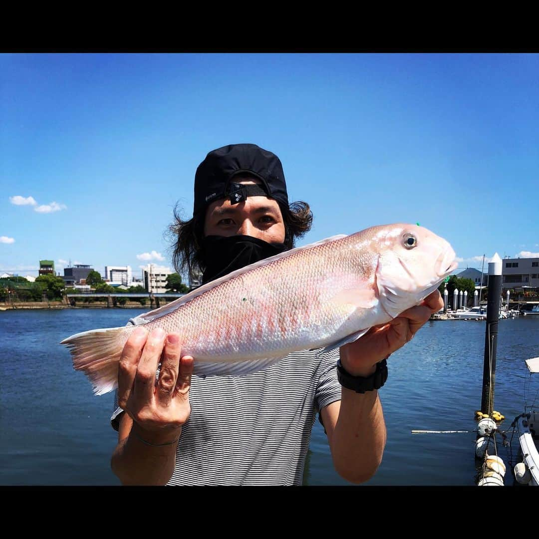 渡邊一丘のインスタグラム：「念願の白甘鯛に出会えた海の日。 俺の夏休み。 #清風丸 #シロアマダイ」