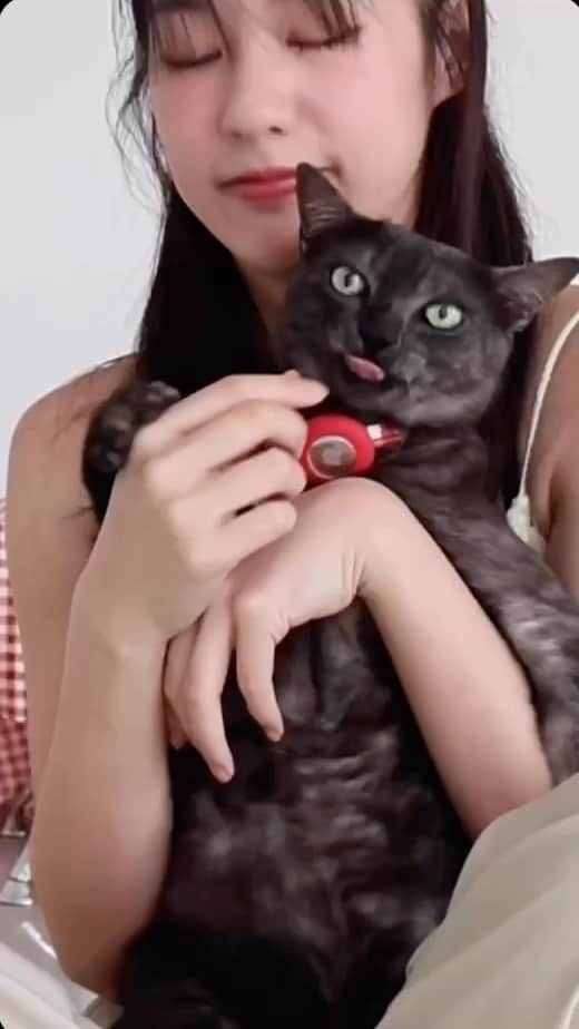 PIMTHAのインスタグラム：「Me-O X Jiewjien 🐈✨ วันนี้พิจิ๋วขอชวนเหล่าทาสแมวมาทำภารกิจกัน กับเกม “มิโอะเหมียวบิน” เกมที่พาเหล่าทาสแมวมาบินสะสมระยะทาง เพื่อนำไปแลกอาหารแมว 1 กิโลเมตร จะเท่ากับ อาหารแมว 1 กิโลกรัม สามารถแลกได้เมื่อสะสมครบ 7 กิโลเมตรเลย จะเลือกแลกรับเอง หรือเลือกแลกให้ทางมีโอนำไปบริจาคตามสถานสงเคราะห์ต่าง ๆ ก็ได้นะ 🤍  นอกจากนี้ทุกคนยังสามารถลุ้นรับของรางวัลประจำสัปดาห์ได้อีกด้วย  รายละเอียดสามารถติดตามได้ที่ FB Page : Me-O   https://meomeawbin.com/  ชาวทาสแมวอย่าลืมไปร่วมเล่นกิจกรรมกันเยอะ ๆ น้า 🥰 เมี๊ยวว #pimthaxมีโอ #มิโอะเหมียวบิน #มีแมวต้องมีโอ」