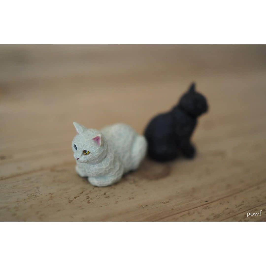 anemone_69さんのインスタグラム写真 - (anemone_69Instagram)「. . #はしもとみお さんの #猫の彫刻 #カプセルトイ . . 普段ガチャガチャをすることは そんなにないのだけれど、 夫と買い物中にふと見つけ、 言葉を交わすこともなく お互い財布の中の百円玉を 探し出すーーー . 7月7日に結婚28周年を迎えた 私たちです。 . . 底面見てクスッ。 後ろ姿も愛らしい❤︎ . . .」7月17日 21時10分 - powf