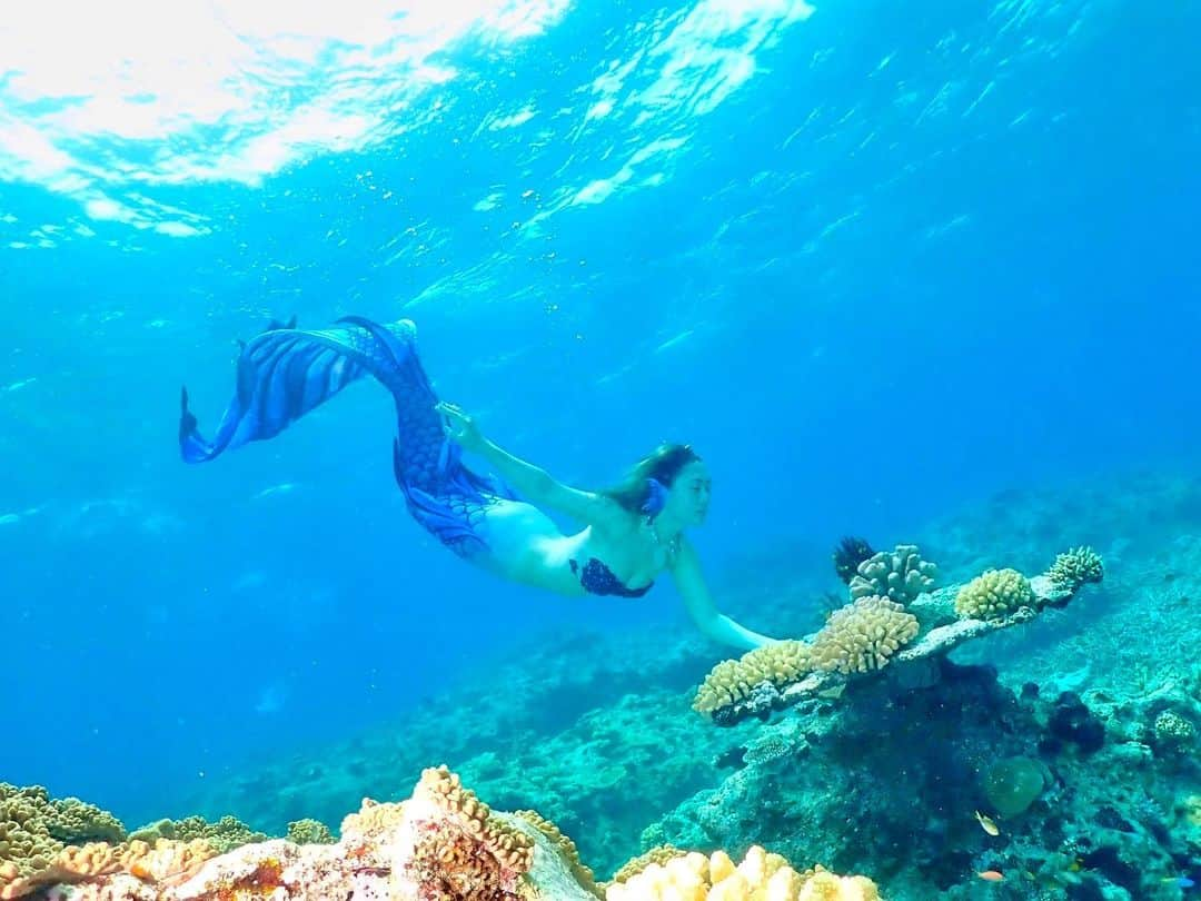 風輝駿のインスタグラム：「* ⁡ 今日は海の日🌊 ということで先日の西表島での写真と動画置いておきます🧜‍♀ ⁡ ⁡ ⁡ Photo by @momo.irodori (@mika_na1228 ) SpecialThanks @nagisa_mermaid_club  ⁡ ⁡ ⁡ ⁡ ⁡ #西表島 #マーメイドライセンス　#ssi　#オーシャンマーメイド #oceanmermaid  #マーメイド #マーメイドスイム #マーメイドテイル #mermaid #mermaidswim #mermaidtail」