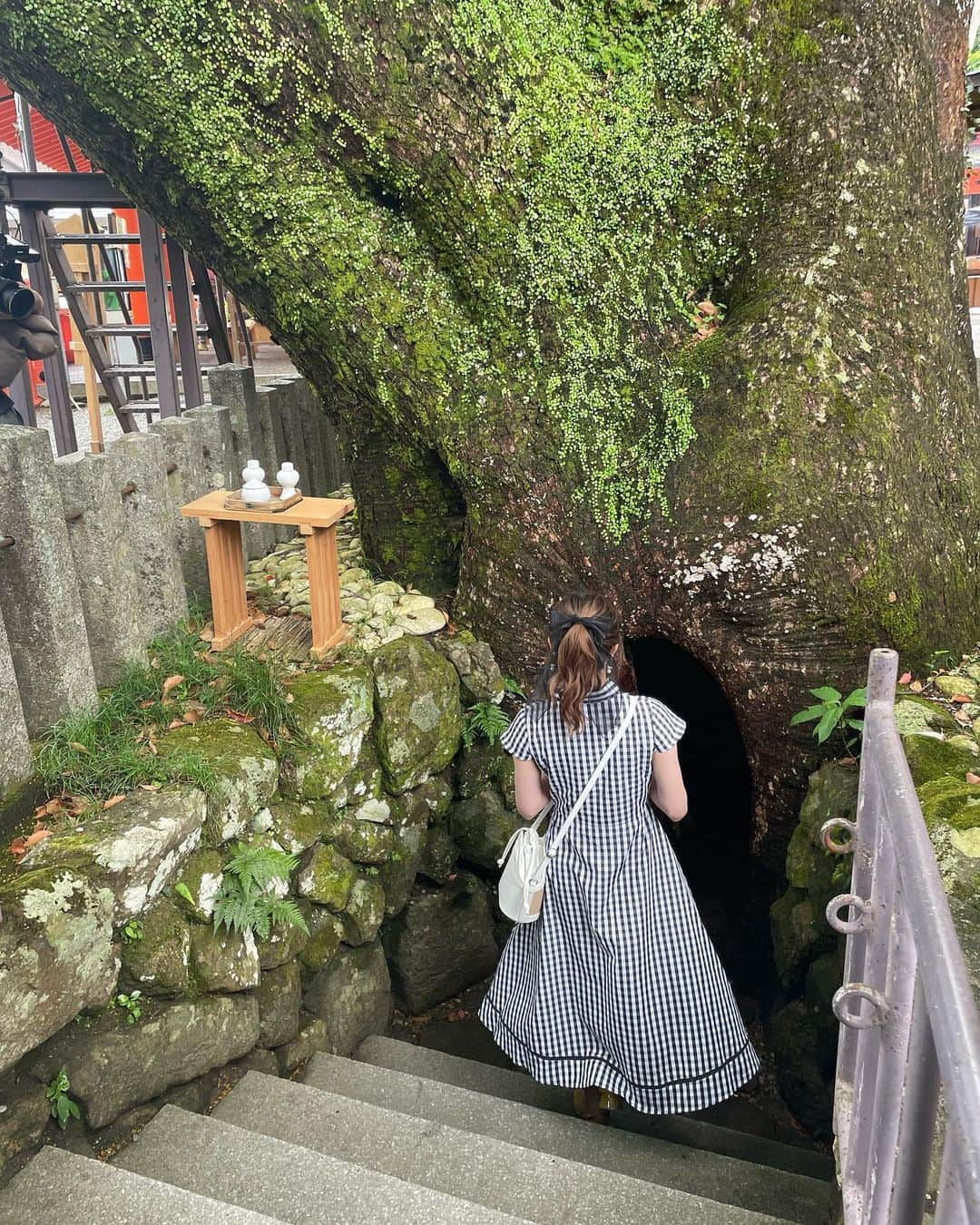 須田亜香里さんのインスタグラム写真 - (須田亜香里Instagram)「世界遺産の熊野古道、熊野那智大社、那智の滝…何もかもが大きかった⛩️✨  日本一大きなおみくじの結果は動画でぜひ🤭 ストーリーズのハイライトにリンクあります！ サイン入りグッズ当たります🎁 #てくてく南紀 #JR東海 #JRで南紀へ #特急南紀 #HC85系 #熊野古道 #熊野那智大社 #那智の滝」7月17日 21時53分 - akarisuda