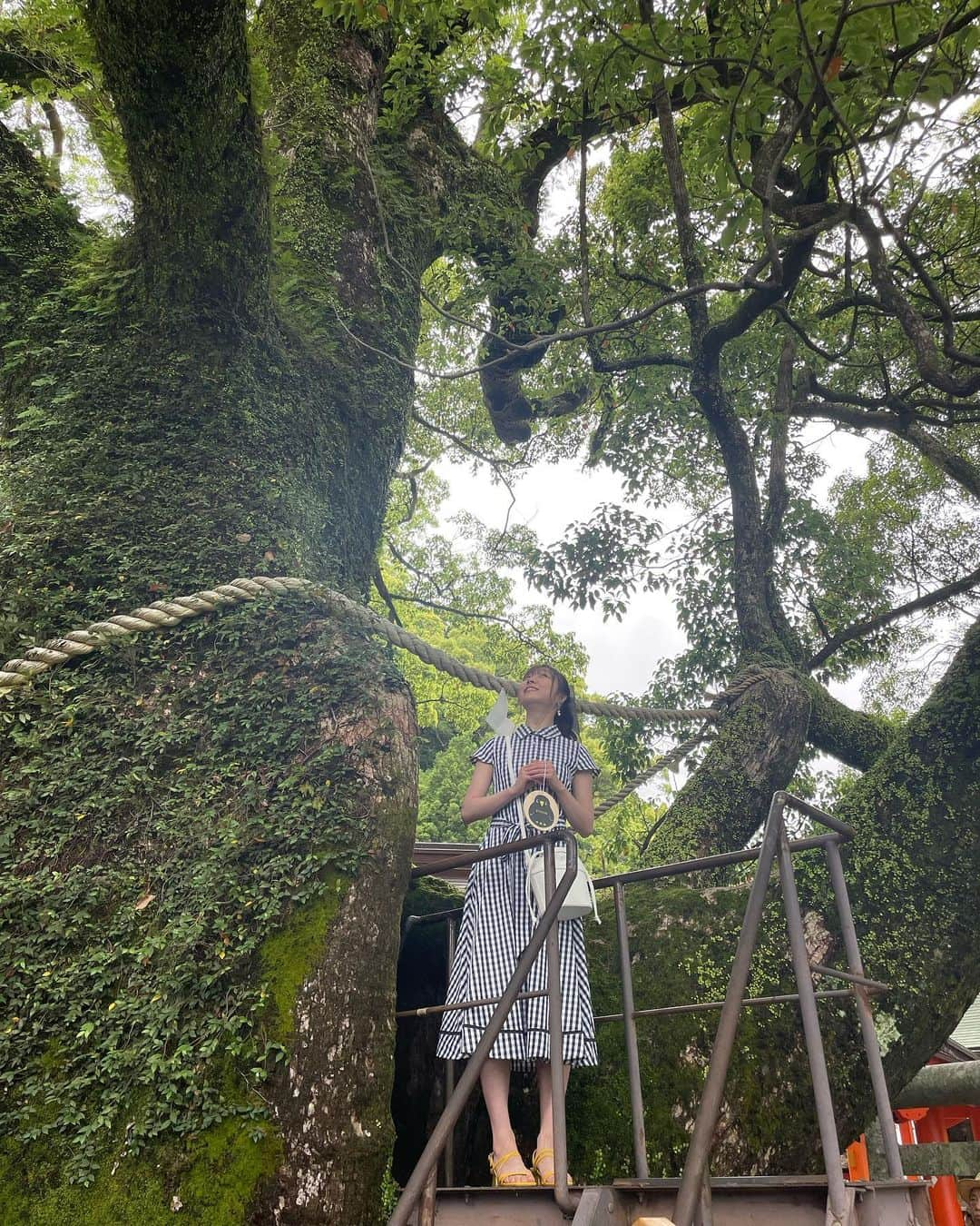 須田亜香里さんのインスタグラム写真 - (須田亜香里Instagram)「世界遺産の熊野古道、熊野那智大社、那智の滝…何もかもが大きかった⛩️✨  日本一大きなおみくじの結果は動画でぜひ🤭 ストーリーズのハイライトにリンクあります！ サイン入りグッズ当たります🎁 #てくてく南紀 #JR東海 #JRで南紀へ #特急南紀 #HC85系 #熊野古道 #熊野那智大社 #那智の滝」7月17日 21時53分 - akarisuda