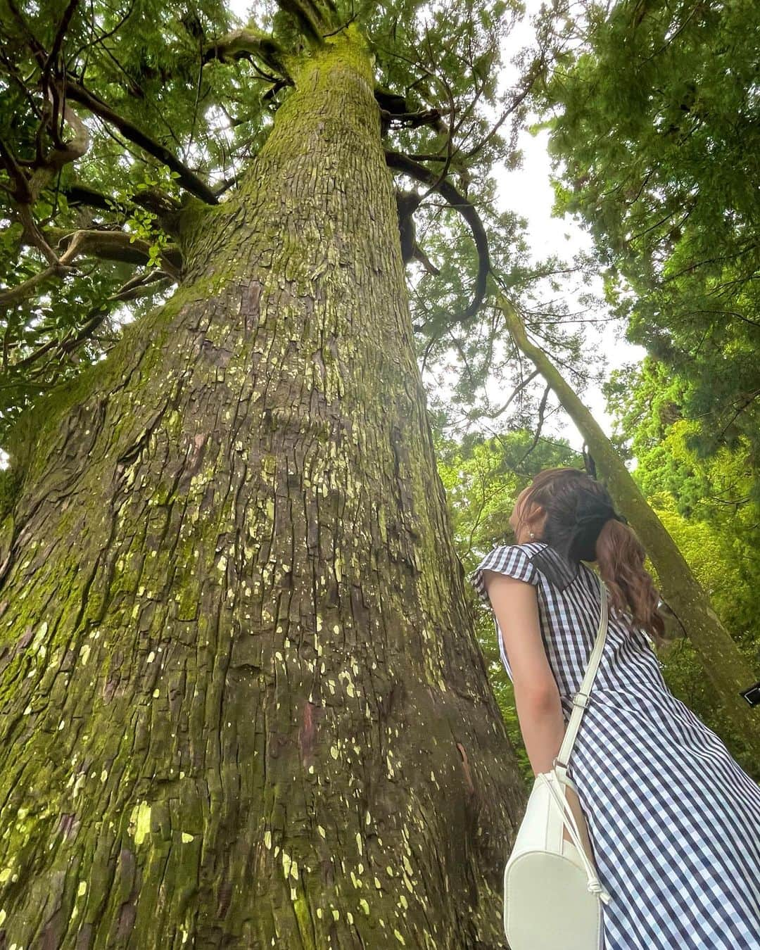 須田亜香里さんのインスタグラム写真 - (須田亜香里Instagram)「世界遺産の熊野古道、熊野那智大社、那智の滝…何もかもが大きかった⛩️✨  日本一大きなおみくじの結果は動画でぜひ🤭 ストーリーズのハイライトにリンクあります！ サイン入りグッズ当たります🎁 #てくてく南紀 #JR東海 #JRで南紀へ #特急南紀 #HC85系 #熊野古道 #熊野那智大社 #那智の滝」7月17日 21時53分 - akarisuda