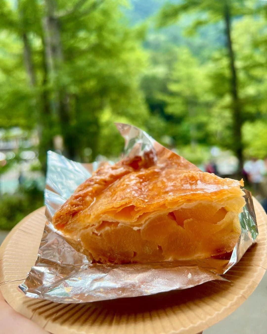 ののさんのインスタグラム写真 - (ののInstagram)「1枚目眩しそう🌞 上高地ではトワサンクのアップルパイと河童焼き（あんこ＆クリームチーズ味）とおやき食べたよ🤤  写真や動画を撮る時は取ってたんだけど、日焼け防止の帽子とグローブはしてたよ🙆‍♀️ あと虫除けスプレー🦟  #上高地#上高地散策#長野県#長野県観光#長野観光#長野旅行#山#旅女#タビジョ#ハイキング#ハイキング女子 #トワサンク#河童焼き#おやき#河童橋#ナイキ#ナイキスニーカー#ユニクロ#ジーユー#カーゴパンツ#カーゴパンツコーデ #白シャツ#白シャツコーデ#kamikochi#nagano」7月18日 7時00分 - nonoko0309