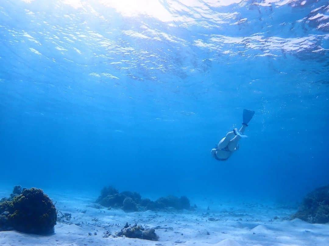 髙津奈々のインスタグラム：「#海の日  いろんな生き物がいて  毎日まったく違う姿を見せてくれる海  本当にいろんな楽しみ方でたくさん楽しませてもらってる  この先も、きっとどんどん新しい世界を魅せてくれるんだろうな  この海をずっと守って生きたい  私のパワーの源」
