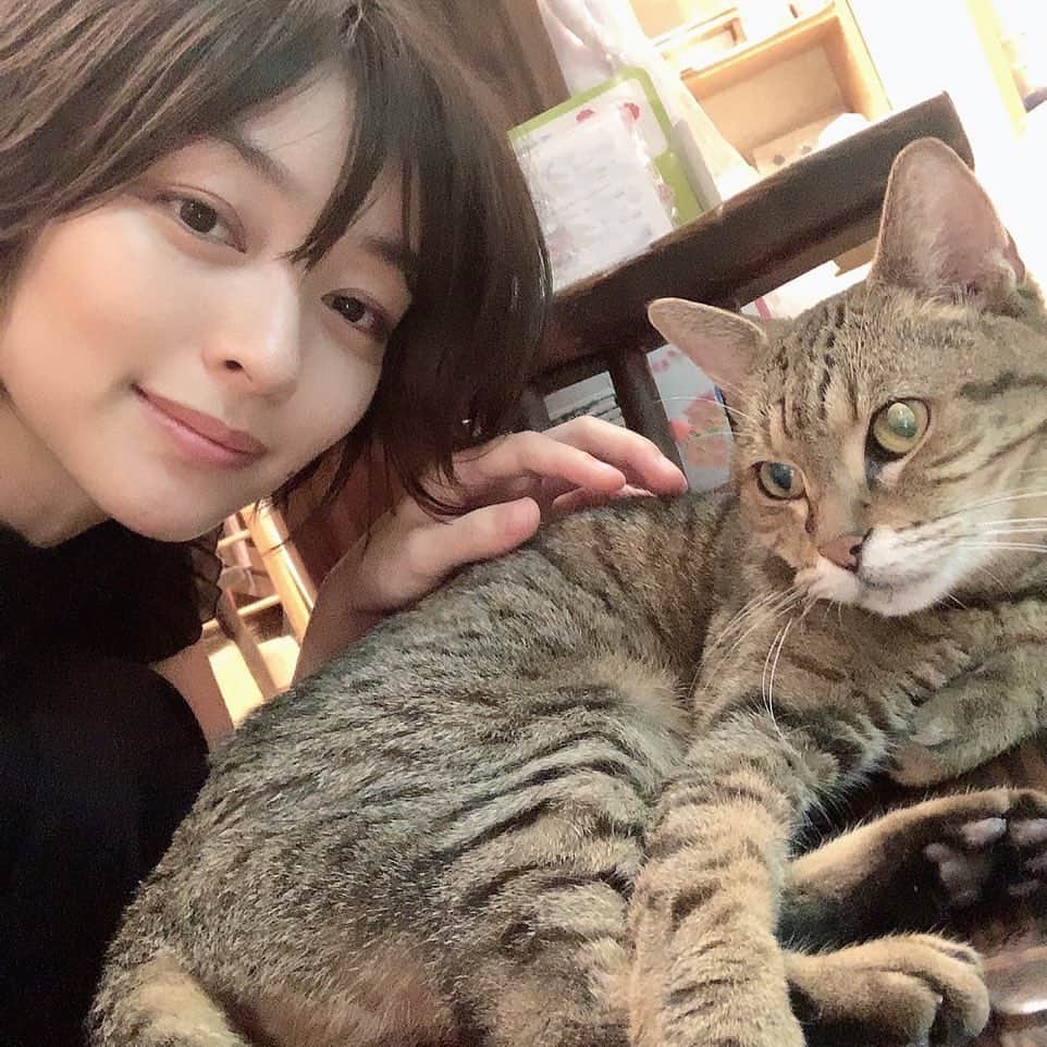里々佳のインスタグラム：「ありがとう..ありがとう🐈」