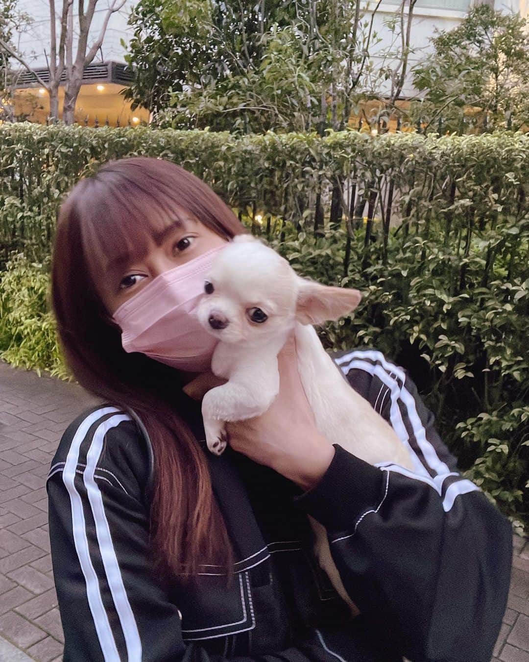 青山愛菜のインスタグラム：「目線くれない🥹」