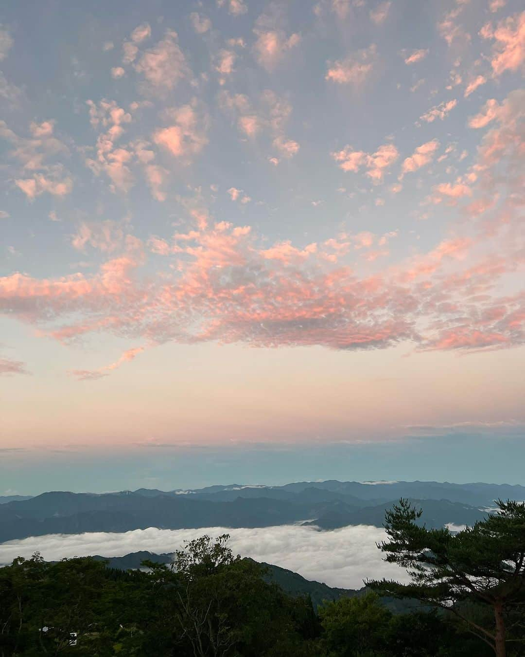 平アスカさんのインスタグラム写真 - (平アスカInstagram)「宮崎でみた景色たち。 そのとき、その場所でしか見られない、 特別な瞬間 #miyazaki #宮崎 #高千穂町 #四季見原すこやかの森キャンプ場 #堀切峠 #鵜戸神社 #大御神社 #日向市 #宮崎観光 #雲海 #キャンプ場」7月17日 23時07分 - asucataira