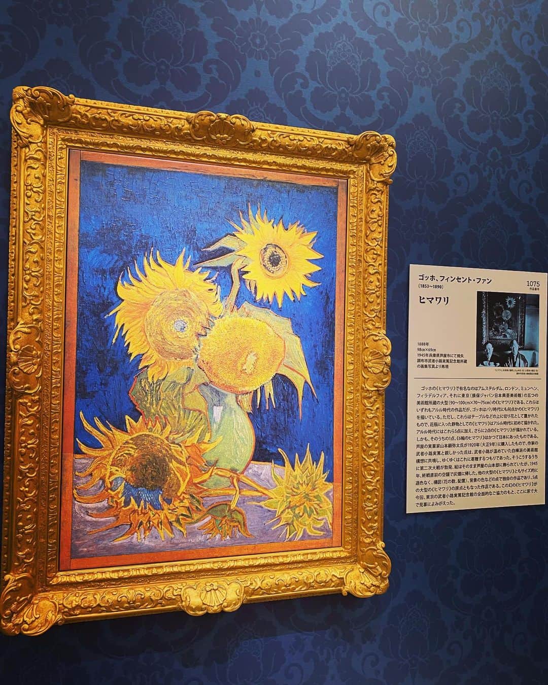 尾島知佳さんのインスタグラム写真 - (尾島知佳Instagram)「📍大塚国際美術館 . 5枚目自撮り😆 日本最大級なだけあってめちゃめちゃ広かったですmmm #徳島県 #徳島観光 #大塚国際美術館 #museum」7月17日 23時17分 - chika.ojima