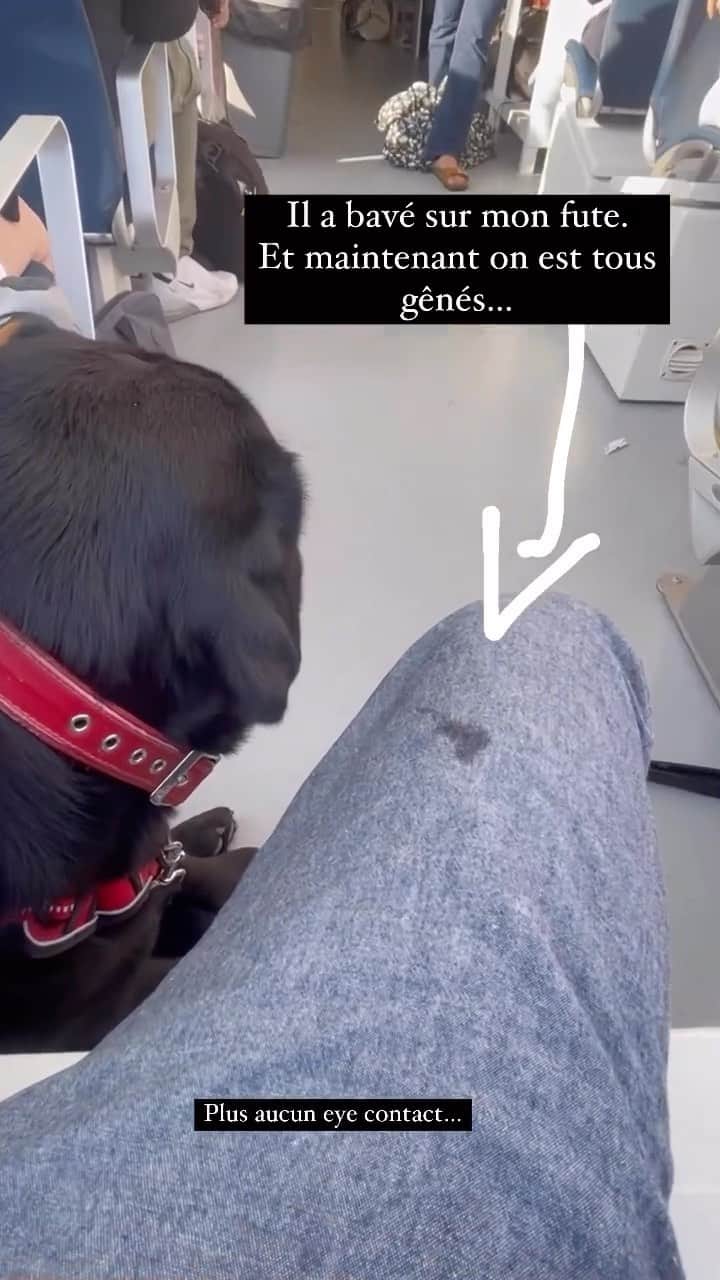 ピエール・ニネのインスタグラム：「Une vidéo touchante qui vire malheureusement au drame du quotidien… 🐶 💧😕」