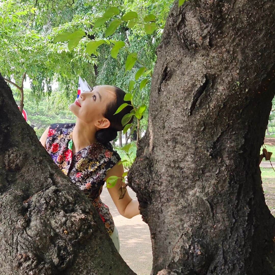 のインスタグラム：「🌱🌿☘️🍀🍃」
