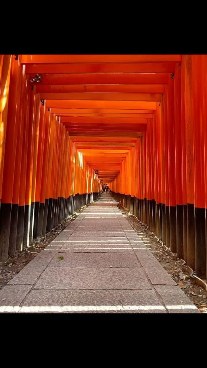 大社カリンのインスタグラム：「伏見稲荷、 涼しくなったらまた行きたいな⛩️🍁  目と心に良い」