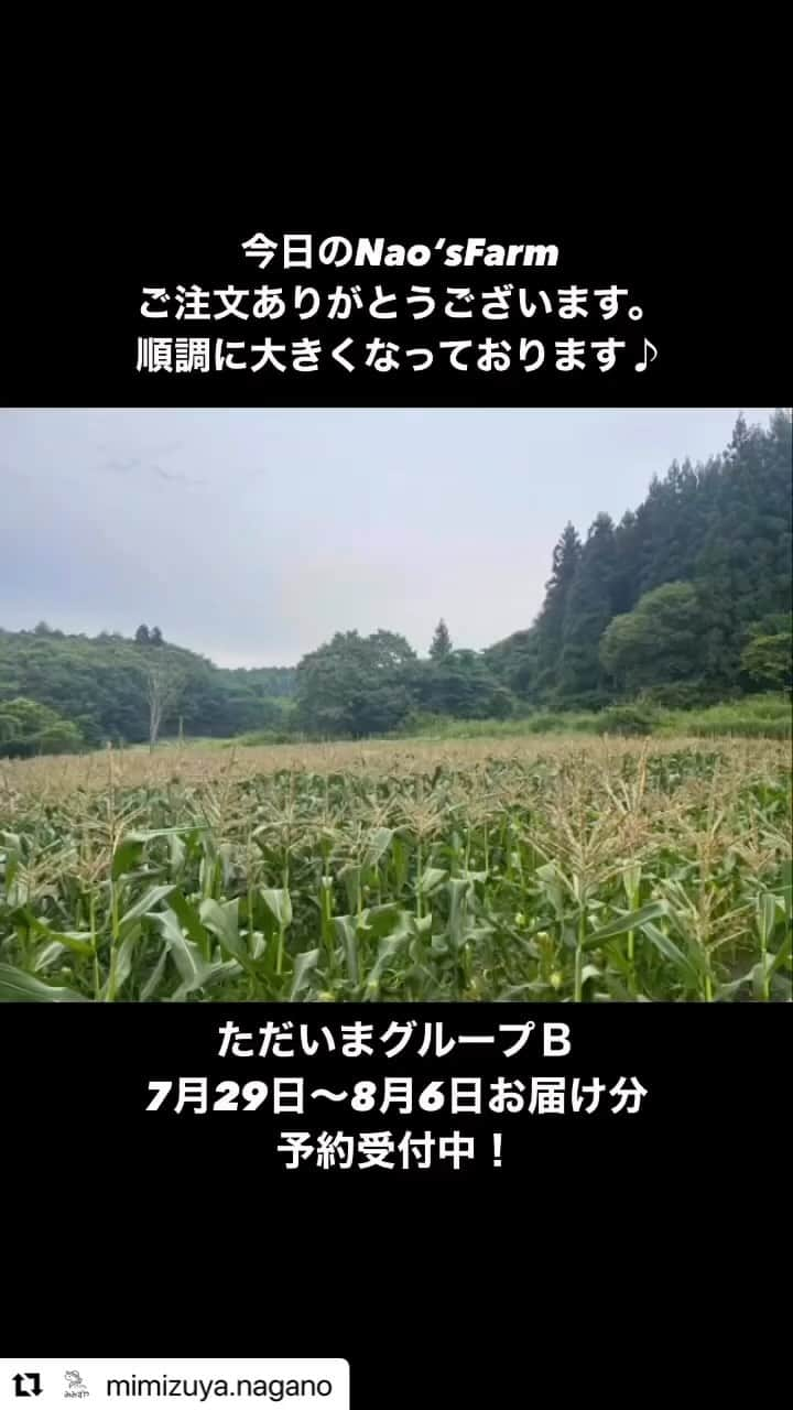 石川直宏のインスタグラム