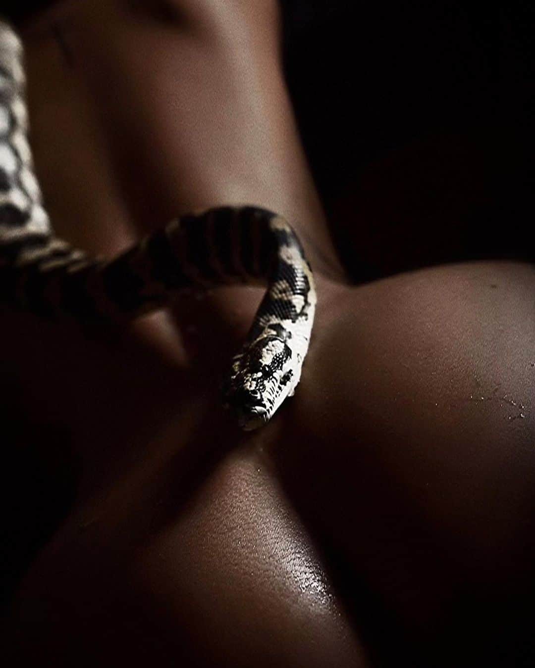 Nita Kuzminaのインスタグラム：「Magic by photographer @lera.hardi ♥🐍」