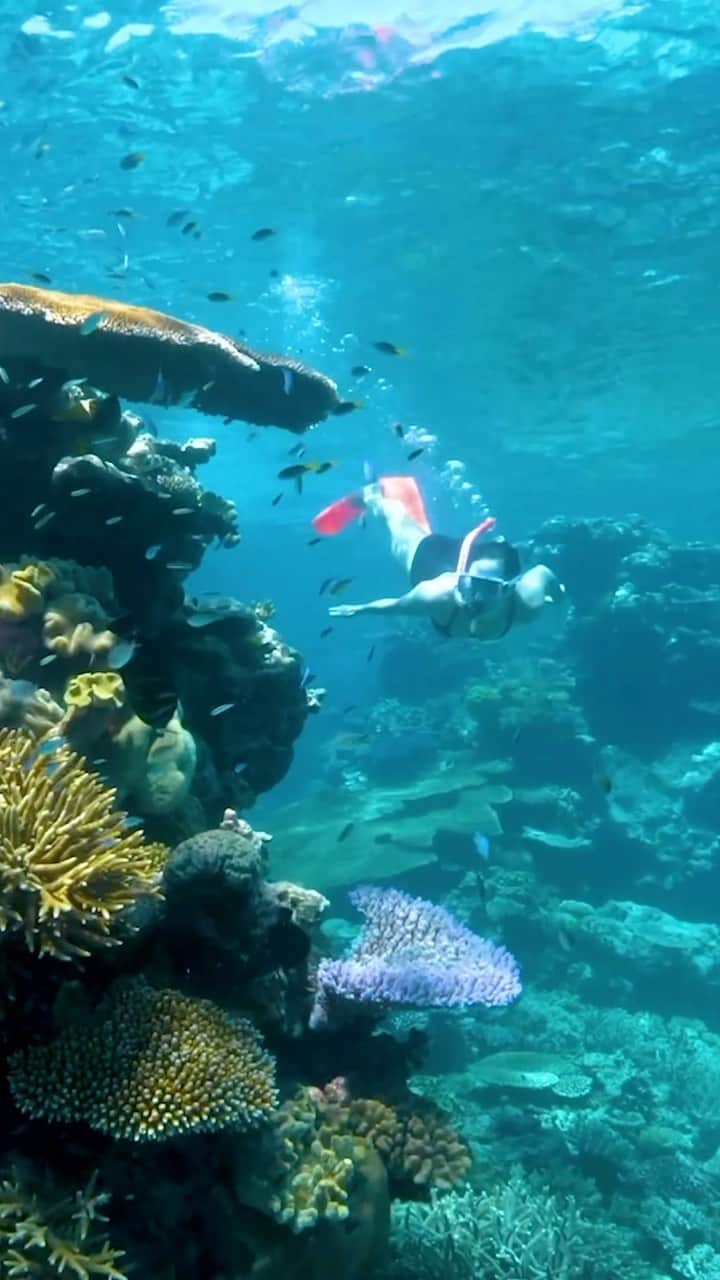 のインスタグラム：「Ready to wander Down Under? Take off to Australia for the adventure of a lifetime! @australia  . . Prêts à vivre une aventure inoubliable en Australie? @australia」