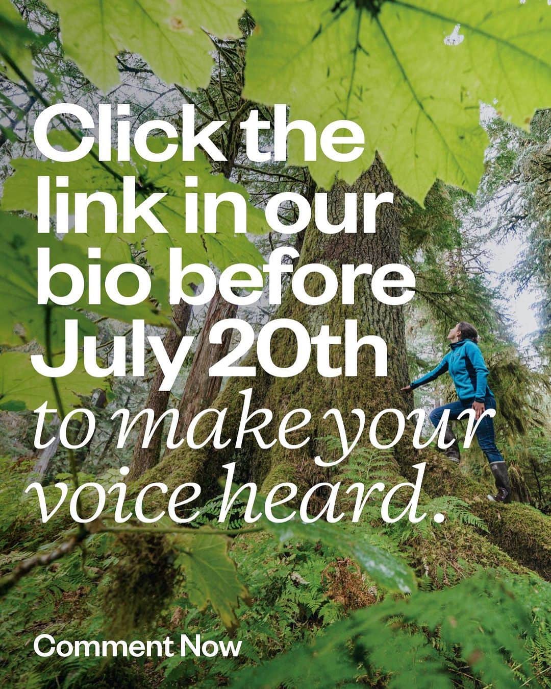 patagoniaさんのインスタグラム写真 - (patagoniaInstagram)「Through July 20, the Forest Service is accepting public comments on a rulemaking process that could protect up to 112 million acres of mature and old-growth forests from logging.  Forests, especially mature and old-growth ones, are key to fighting the climate and biodiversity crisis. But decades of aggressive logging practices have left us with about 10% of old-growth forests across the US—and hundreds of thousands of acres of these trees are still currently slated to be logged. We have the power to change this.  The number of public comments really matter at this stage in the process, so we’re joining with our partners to help submit 500,000 comments to the Forest Service by July 20 to take projects like 42 Divide in Oregon, Telephone Gap in Vermont and Upper Cheat River in West Virginia off the chopping block and ensure forests like them are protected for generations to come.  Take action by submitting a comment through the link in our bio.」7月18日 0時57分 - patagonia