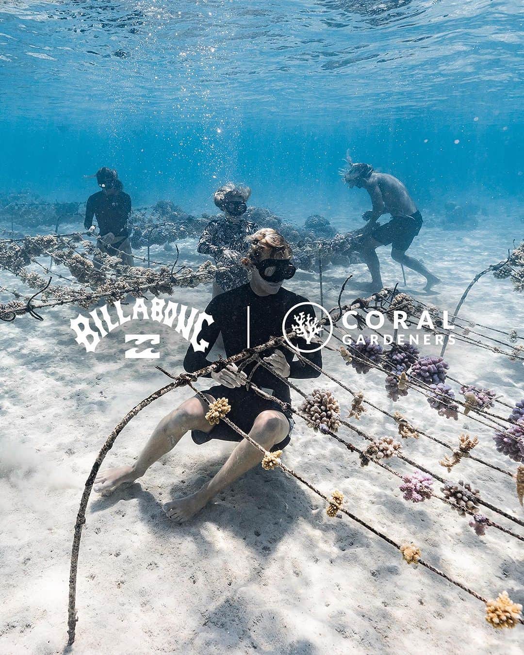 BILLABONG WOMENSさんのインスタグラム写真 - (BILLABONG WOMENSInstagram)「“No reef. No ocean. No air.” – @toutiess & @coralgardeners   The organization started by surfers on Mo’orea, Coral Gardeners, works to find a solution to the degradation of coral reefs in their backyard and beyond. In celebration of Coral Reef Awareness Week (July 17-23), we’re proud to announce our long-term partnership with Coral Gardeners.   Look for our first eco-conscious Coral Gardeners collection in early 2024 with a portion of proceeds going back to the organization to support their critical work. Until then, go to the Coral Gardeners link in our bio to learn how you can help save the reef.   #billabongadventuredivision」7月18日 1時07分 - billabongwomens