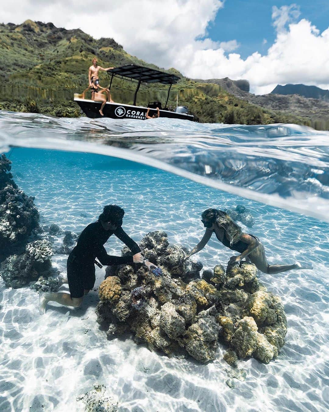 BILLABONG WOMENSさんのインスタグラム写真 - (BILLABONG WOMENSInstagram)「“No reef. No ocean. No air.” – @toutiess & @coralgardeners   The organization started by surfers on Mo’orea, Coral Gardeners, works to find a solution to the degradation of coral reefs in their backyard and beyond. In celebration of Coral Reef Awareness Week (July 17-23), we’re proud to announce our long-term partnership with Coral Gardeners.   Look for our first eco-conscious Coral Gardeners collection in early 2024 with a portion of proceeds going back to the organization to support their critical work. Until then, go to the Coral Gardeners link in our bio to learn how you can help save the reef.   #billabongadventuredivision」7月18日 1時07分 - billabongwomens