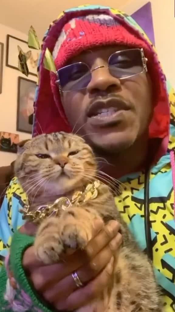 MSHO™(The Cat Rapper) のインスタグラム