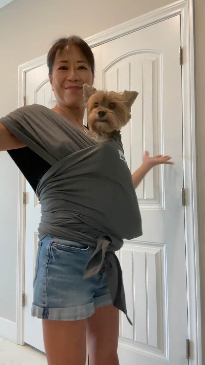 のインスタグラム：「🙋🏻‍♀️ Here’s a baby wrapping tutorial for you all who don’t have a human baby and never used this kind of baby wrap carrier before! PS- Sammy is about 13 pounds and this is the only carrier so far I don’t feel the weight when carrying Sammy! 🥰💕♥️ #BestThingEver #BabyWrap #DogWrap #AllWrappedUp #WarmAndCozy #CantWaitForWinter #HeavyButNotReally #BigBoyDontCare #DogCarrier #JustLikeABaby #BabyWrappingTutorial」