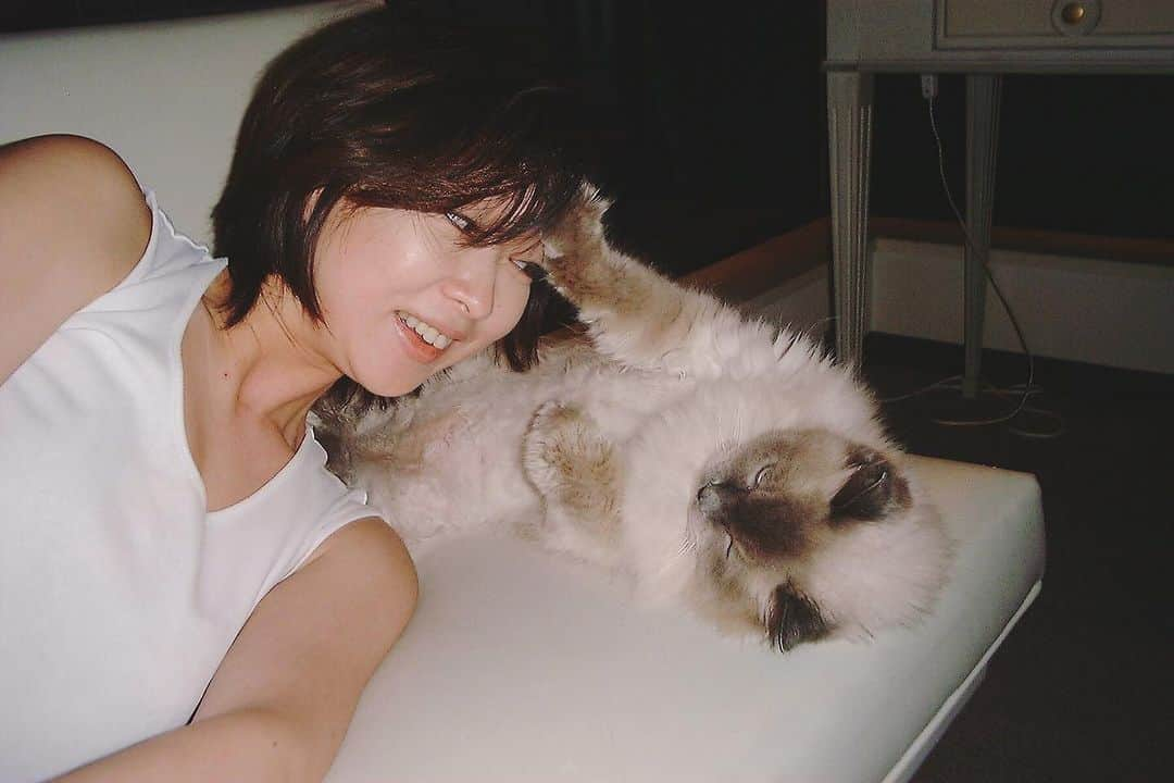 川上麻衣子さんのインスタグラム写真 - (川上麻衣子Instagram)「🐈たくさんの住猫登録をありがとうございます！皆さんの愛猫写真にとても癒されています。今日は街の一部。メモリアルパークを紹介します。虹の橋の猫ちゃんたちもここでは共にいます。nyanakatown.com/memorialぜひ住猫登録お待ちしています。 登録はnyanakatown.comよりお待ちしています🐈」8月16日 7時50分 - kawakami.maiko