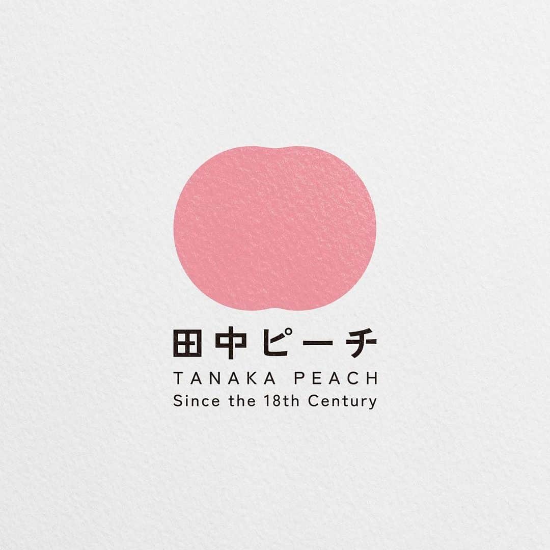 Taki Tanakaのインスタグラム：「桃、はじめました。 この夏はトライアルでしたが、来年2024年から本格的に始動します。 みなさま田中ピーチ をよろしくお願い申し上げます🍑  #Repost @sanzui0000 ・・・ . 和歌山県紀の川市で300年以上続く果実園のブランド桃「田中ピーチ」のロゴ&パッケージデザイン担当させていただきました。 #田中ピーチ #TanakaPeach  IZA代表の田中タキ様はじめ、チームの方々と素敵なお仕事ご一緒する事ができ大変光栄です。 いただいた桃も大変美味しく感動しました。この度はありがとうございました🙇  🍑 Direction @tanakataki  Edit @mamiosgi  Design @sanzui0000  Photo ##seigoishizaka  以下、田中ピーチさんについて▼  グルッポタナカ代表の田中伸幸は 和歌山県紀の川市で300年以上続く、果実農家に生まれました。 この春、弟の田中計光が果実園の跡を継ぐこととなり、 グルッポタナカ/ I Z A もこの果実園の新たなスタートをサポートして参ります。  田中ピーチのこだわり   和歌山県紀の川市で江戶時代から続く農家。  桃を育てるのに最適なさらさらとした砂地に   紀州富士といわれる龍門山の伏流水が注がれ こだわりの肥料を使用して土づくりに力を入れています。 愛情を込めて育んだ健やかな樹には 糖度が高く瑞々しい桃が実ります。 代表の田中計光は大手食品メーカーに勤めた経験から 品質管理を徹底し、 収穫時期を見定め 完熟に近い状態で桃を収穫しています。  .  .」