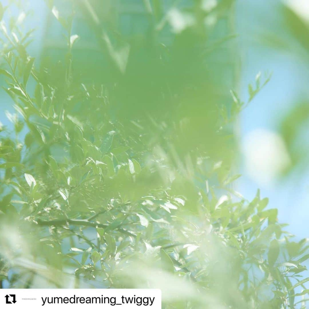 松浦美穂さんのインスタグラム写真 - (松浦美穂Instagram)「#Repost @yumedreaming_twiggy with @use.repost ・・・ .  虹のようなきらめきとエアリーなニュアンスをまとうEPICUREAN パールセントジェル。  植物オイルとミネラルがうるおいを与え、濡れたようなツヤとパールの上品な輝きを演出。日差しや熱による乾燥ダメージから髪を保護しながら、ツヤと軽やかさのある美しいニュアンスをキープします。  #YUMEDREAMING #ユメドリーミン #EPICUREAN #エピキュリアン #TWIGGY. #ツイギー」8月16日 0時17分 - twiggy_mihomatsuura