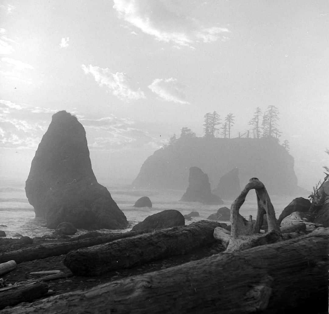 lifeさんのインスタグラム写真 - (lifeInstagram)「On this #TravelTuesday, enjoy a scenic view of the shoreline in Puget Sound - Seattle, Washington, 1949.  (📷 Loomis Dean/LIFE Picture Collection)  #LIFEMagazine #LIFEArchive #LoomisDean #1940s #PugetSound #Scenery #Washington #USA #Destinations」8月16日 0時31分 - life