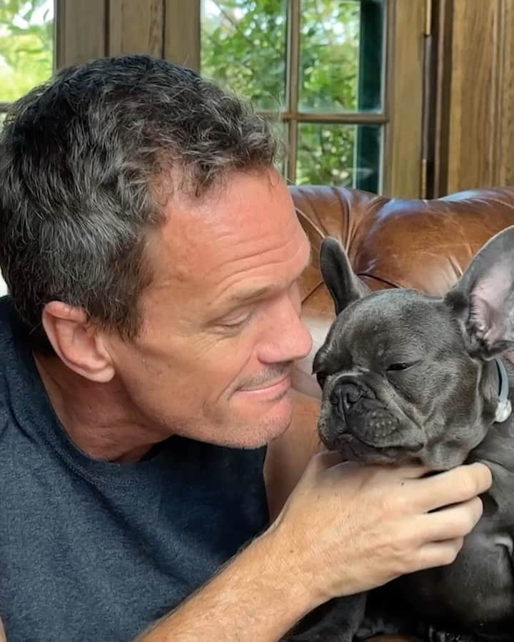 ニール・パトリック・ハリスのインスタグラム：「Meet Chunk.  We are enamored with this amazing French Bulldog. Except for the peeing everywhere. And the gnawing on everything. And the sibling rivalry. But otherwise, he’s the perfect addition to our family. We’re in love! Oh, okay, gotta go, he just peed again. #grateful @dbelicious」