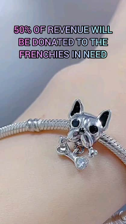 French Bulldogのインスタグラム