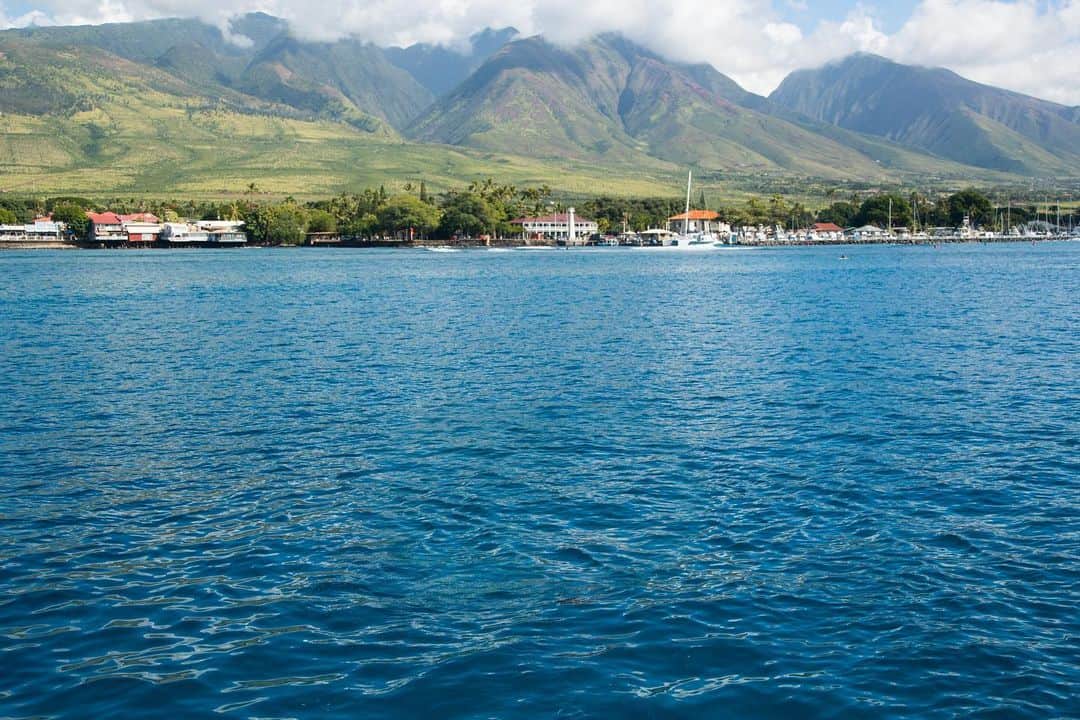 ジョン・ジョン・フローレンスのインスタグラム：「Maui is a really special place. I care so much for the island, all of my friends, and the whole community there that is going through such a difficult time. Hard to express how devastating it’s been for them since the fires happened.   Hearing from the community, it sounds like @hawaiicommunityfoundation is a great place to donate if you can. What’s also important to the community is that we continue to help as time goes on. This will be a big effort for a long time to come.」