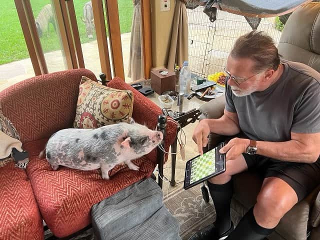 アーノルド・シュワルツェネッガーのインスタグラム：「We all need training partners - that’s why we created the village. Today our #ArnoldsPumpClub mascot Schnelly was helping me with chess. Join the village (it’s free) at the link in my bio.  📸: @dieter_rauter」