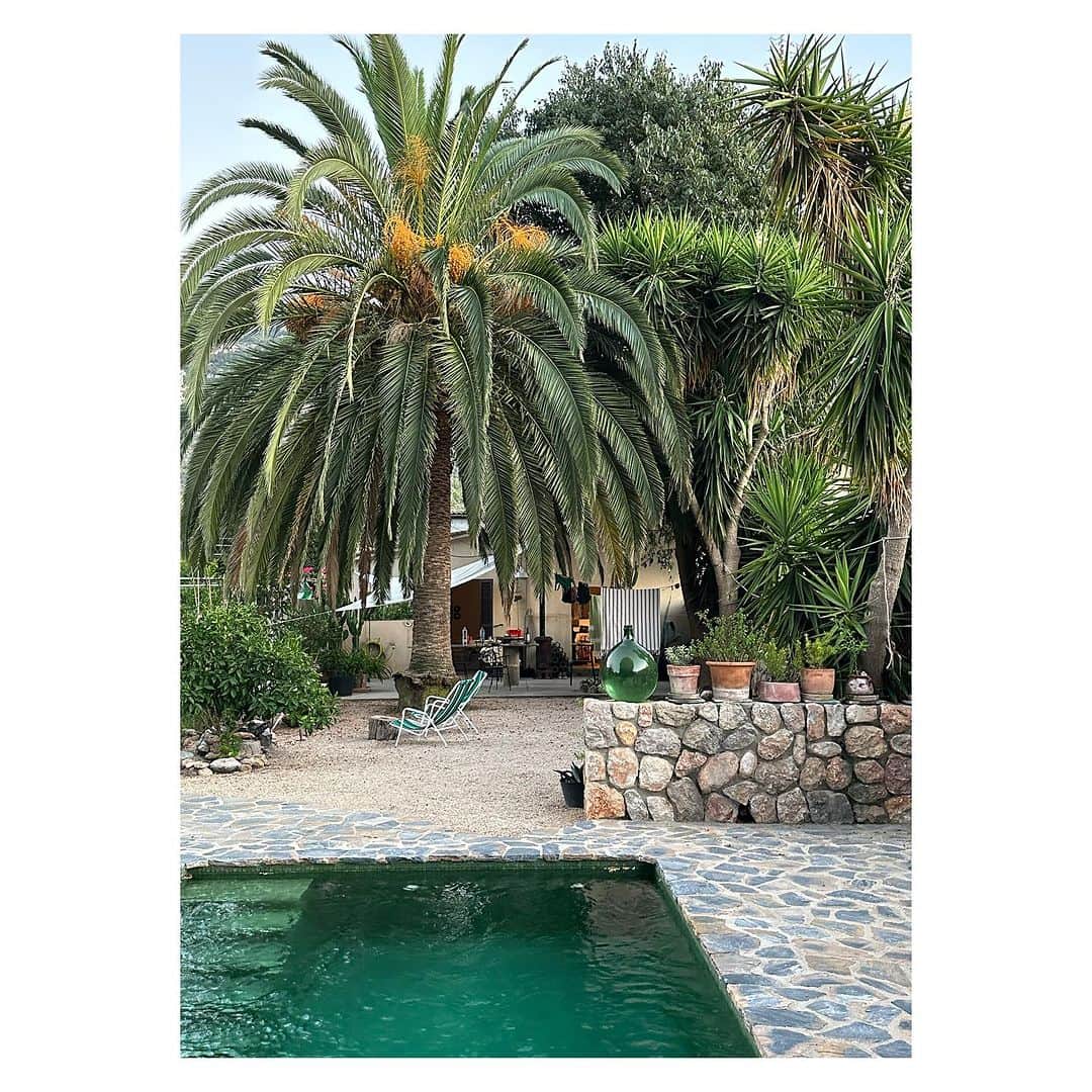 のインスタグラム：「Good to be Back 🏝️💚🔆  Soller Mallorca we been missing you  Time out holiday mood on .   #mallorca #soller #💚holiday#friendsplace」