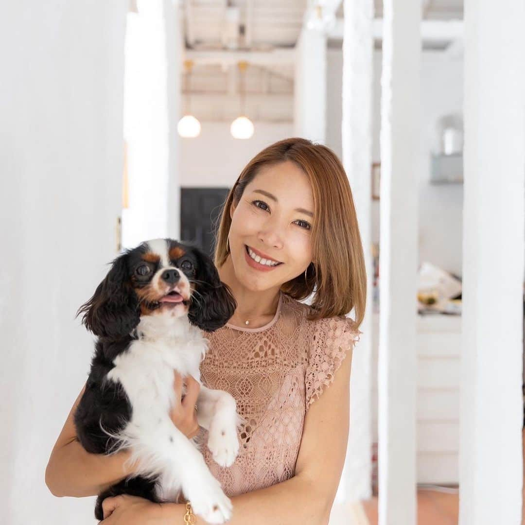 長谷川朋美さんのインスタグラム写真 - (長谷川朋美Instagram)「保護犬と保護猫を救う医療用シェルター兼ふれあいカフェin千葉県佐倉市の建設にご協力お願いします🥺🙏🐶🐈  クラファンは8月18日迄‼️  我が家の愛犬、エルとクロエを 保護してくれた団体です。 @dogrescue_anella   現在、千葉県一宮市、流山市、　 東京都新宿区にシェルターがありますが、  まだまだレスキューしたい子たちがたくさんいて 施設が足りません💦  根本的な問題解決は、 ペットの生体販売を行わないということですが それには日本ではまだまだ時間がかかりそうです😭  家族を待っている保護犬や保護猫たちが たくさんいることを知っていただけたら嬉しいです。  アネラさんは本当に思いある団体で それを常に行動で示していて頭が下がります。  私にできること、そして、この投稿を見て　 何かしら感じてくださった方は 是非ご支援や拡散をお願いします🙏  @dogrescue_anella のTOPページから クラファンページに飛べます。  画像1.3枚目☞現在のクロエ  画像2枚目☞心臓疾患で売り物にならないからと 保護施設にやってきたクロエが募集に出ていた頃 （施設内ではアロエと名付けられていましたw） 引き取ってから心臓の手術をしました。  画像4枚目☞エルが募集されていた頃（一番右上）  画像5枚目☞エルが我が家にやってきた日  画像6枚目（動画）☞仲良しエル＆クロエ  画像10枚目☞エルとクロエを引き取りに行った 一宮にあるシェルター。ドッグランもあり のびのび過ごすワンコたちが印象的。 この頃はプリンもいた😭  #保護犬 #保護猫 #レスキュー犬 #rescuedog」8月16日 6時11分 - hasegawa.elena.tomomi