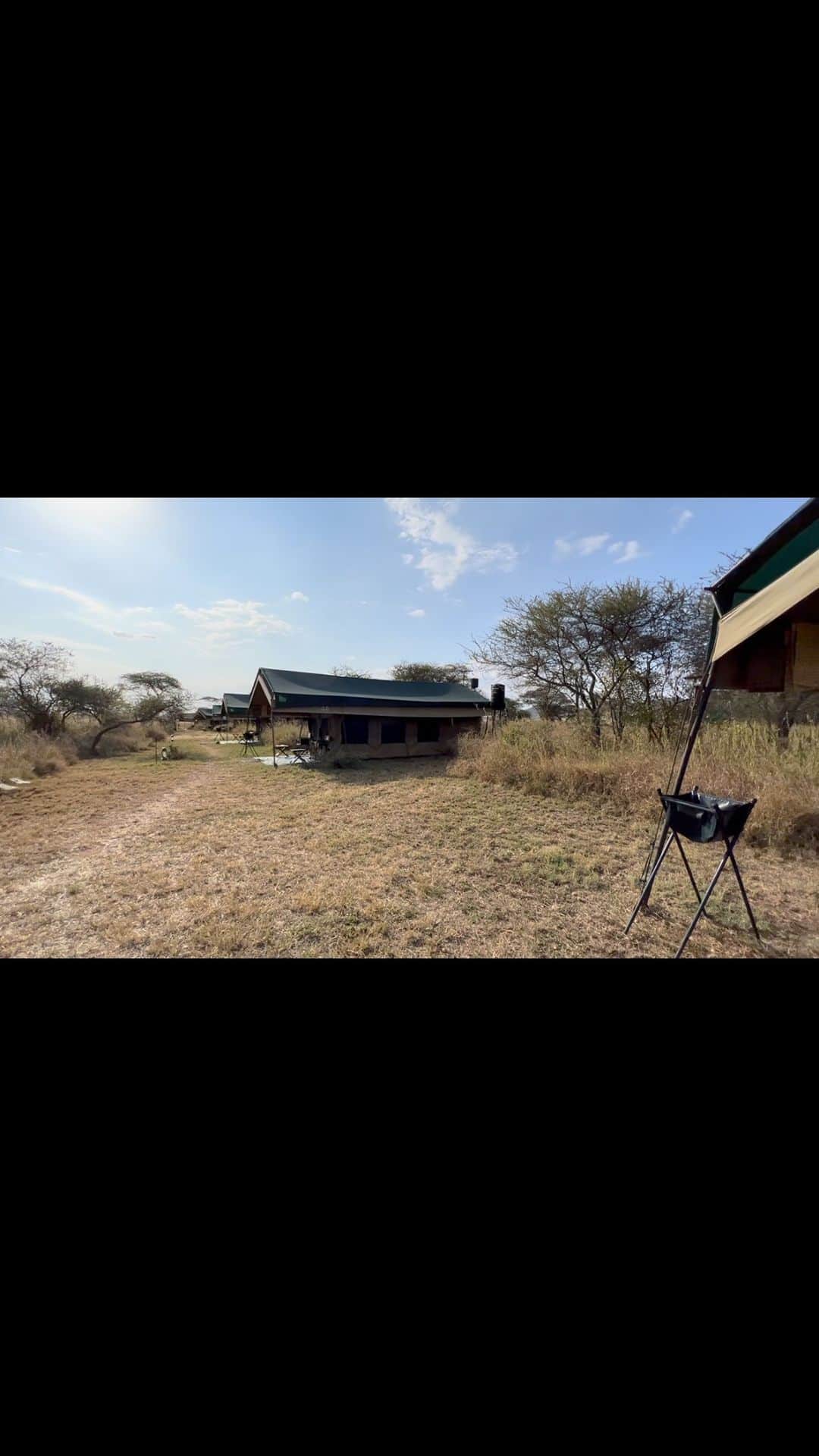 榎戸教子のインスタグラム：「Kananga Special Tented Camp サファリで過ごした2週間の中で、 私がいちばん好きだった宿です。  @kanangaspecialtentedcamp   #safari #serengetinationalpark #africa #tanzania」
