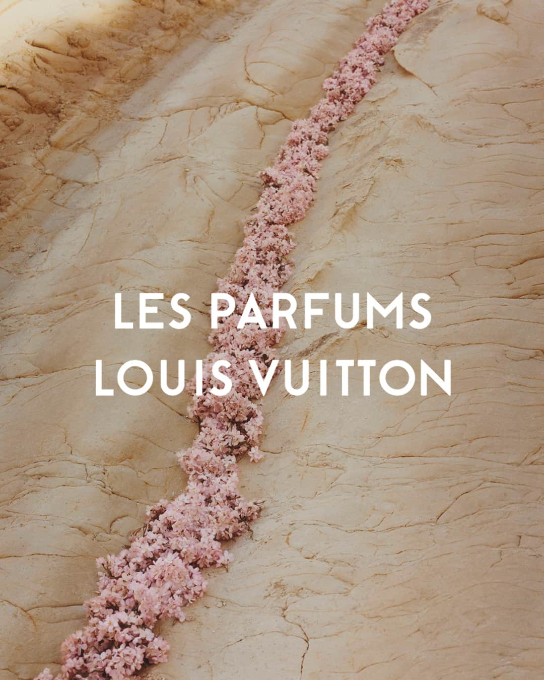 ルイ・ヴィトンさんのインスタグラム写真 - (ルイ・ヴィトンInstagram)「World of Fragrances. Guided by a passion for distant horizons, Louis Vuitton fragrances tell the sensorial stories of Master Perfumer Jacques Cavallier Belletrud's sentimental voyages around the world – in a poetic discovery of the emotions echoed through faraway travel. Explore the perfumes via link in bio.   #LVParfums #LouisVuitton」8月12日 20時19分 - louisvuitton