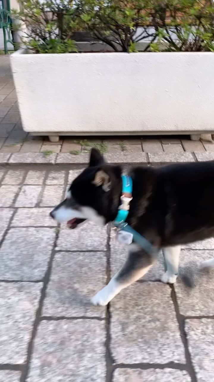 くろのグルメインスタ