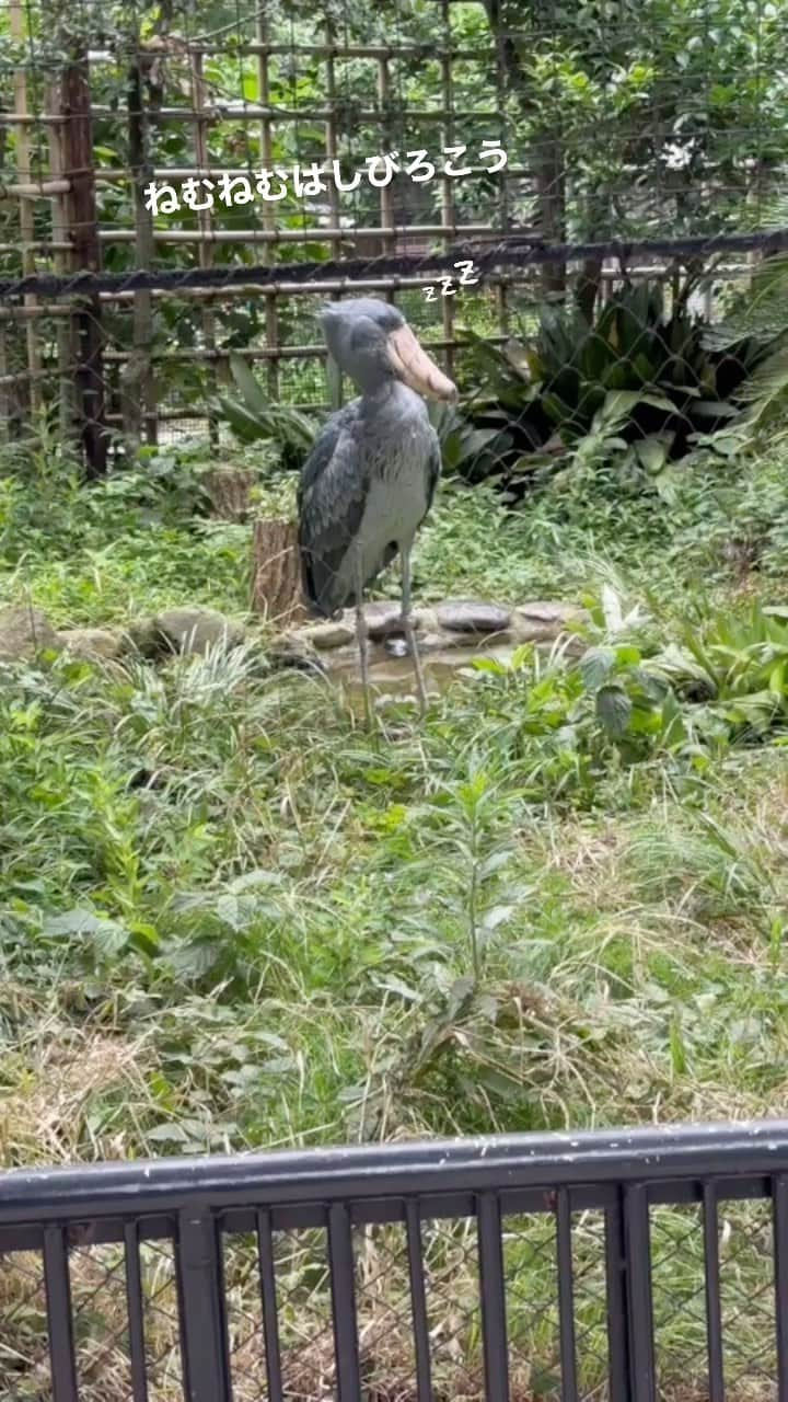 松本駿介のインスタグラム