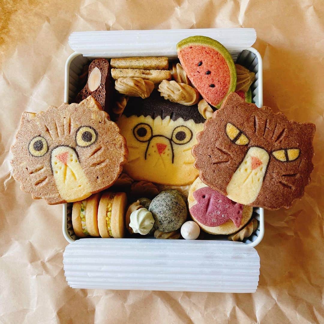 女将のインスタグラム：「@kashikoboen さんの 【エキゾ缶 夏】クッキー🍪  可愛い。 可愛いがすぎる🤤  @kashikoboen  @en93kitchen  金、土20時〜数量限定で販売されてるのでぜひ！！  ほんで今日、愉快な仲間と食べよう思ってたのに持ってくんの忘れた…！笑  ちくしょー！！  #爪の甘いO型おうし座  #ネコクッキー #エキゾチックショートヘア #エキゾ缶夏  #ilovecats #クッキー#クッキー缶#菓子工房えん」