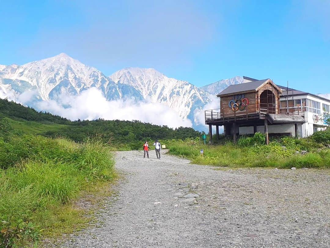 白馬八方尾根スキー場のインスタグラム：「お盆前半の白馬は調子よく晴れております！🏔☀ 皆さまに大迫力の山々を楽しんでいただけますように！  #hakuba #happo #白馬 #八方尾根 #夏  #グリーンシーズン #八方池 #高山植物 #絶景 #白馬三山 #花 #かわいい #八方尾根自然研究路 #カラフル #八方アルペンライン #山 #山の日」