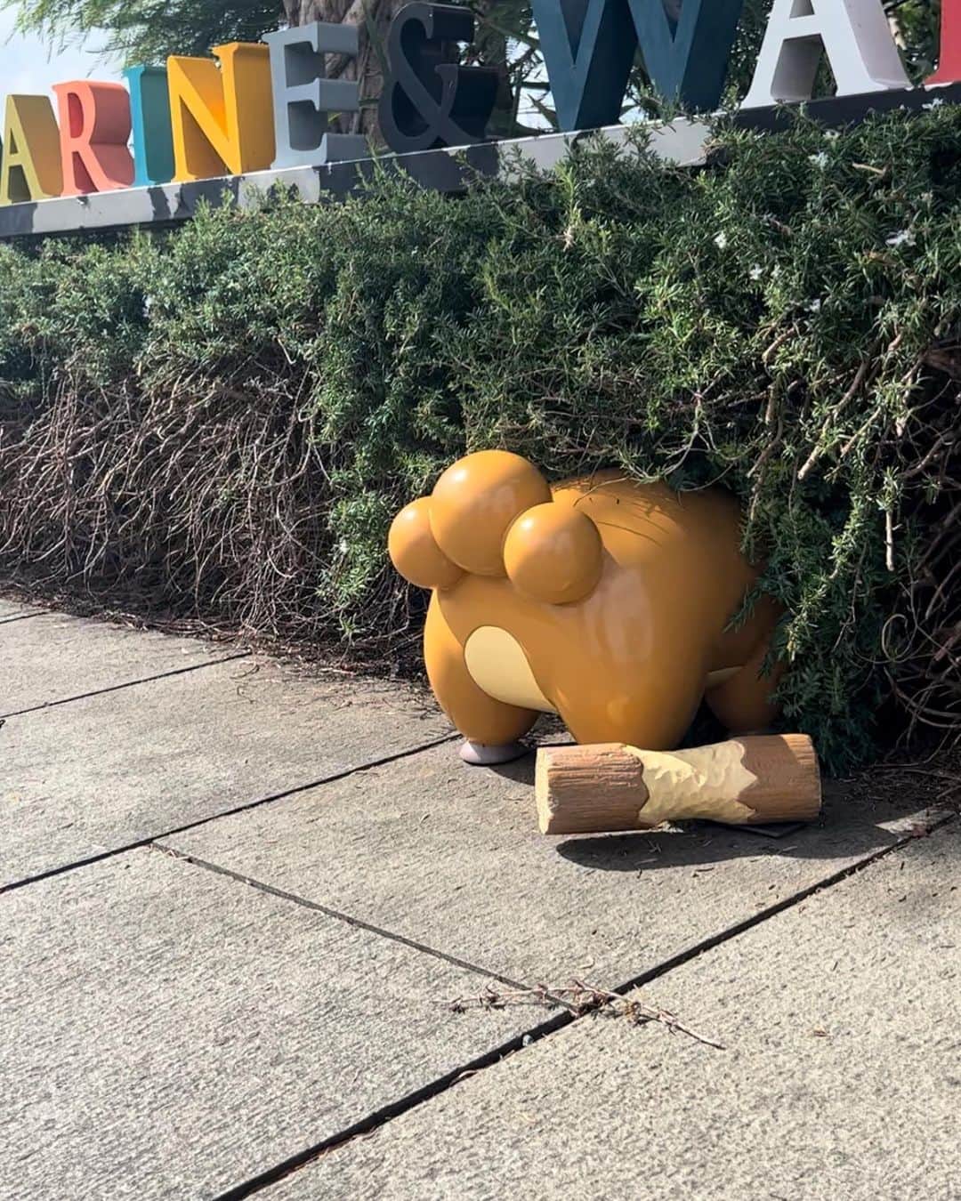 Pokémonのインスタグラム