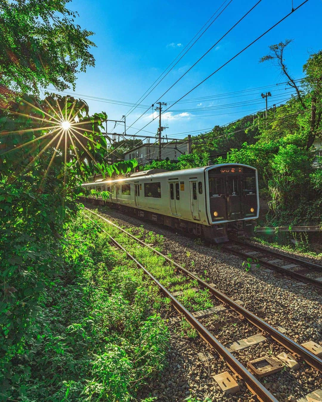 田津原理音のインスタグラム：「お盆感満載電車！  date:2023.8.10 location:fukuoka #服屋でトリックアート展用のリアクションする奴 #写真と一言 #広がり同盟  #写真を止めるな #光と影#japan_city_blues #myjapan #jalan_travel #ptk_japan #retrip_nippon #raw_community #jp_gallery #sorakataphoto #s_shot #japan_bestpic_ #japan_great_view #best_photo_japan #art_of_japan_ #nipponpic #tokyocameraclub #love_bestjapan #photogram_archive #japaoonline #nipponpic #total_japan #japan_daytime_view  #sunsetphotography  #as_archive2023 #eosr5 #rf1535f28lisusm」