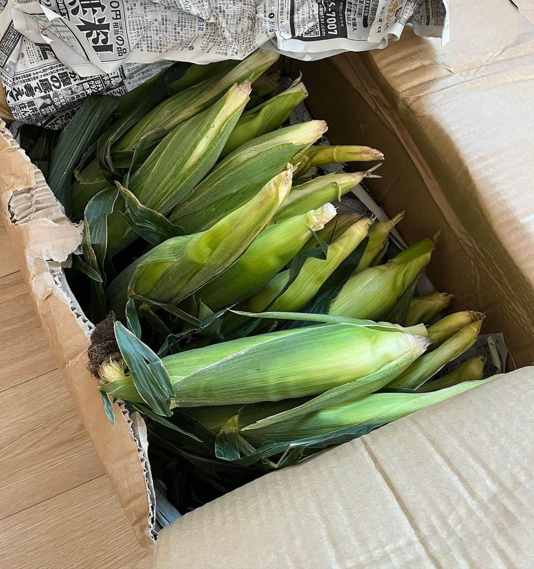 豆柴なつ&ふゆさんのインスタグラム写真 - (豆柴なつ&ふゆInstagram)「Lots of corn🌽😆 今年も北海道のお友達から立派なとうもろこしてんこ盛り届きました🌽😆  #いつもありがとう #とうもろこし #corn #甘い #北海道産    #dog  #いぬのいる暮らし #イヌスタグラム  #しばいぬ部   #shibaaddict #柴 #しばいぬ #シバフル #わんダフォ #shibamania  #柴犬ライフ #shiba_snap  #instashiba#cutedogs  #柴犬#shiba #shibainu #shibastagram #いぬすたぐらむ #pecoいぬ部 #shibainumag_feature #dogoftheday  #🐕📷 #theshibasociety  #proudshibas」8月12日 19時29分 - mameshiba.natsuinu56