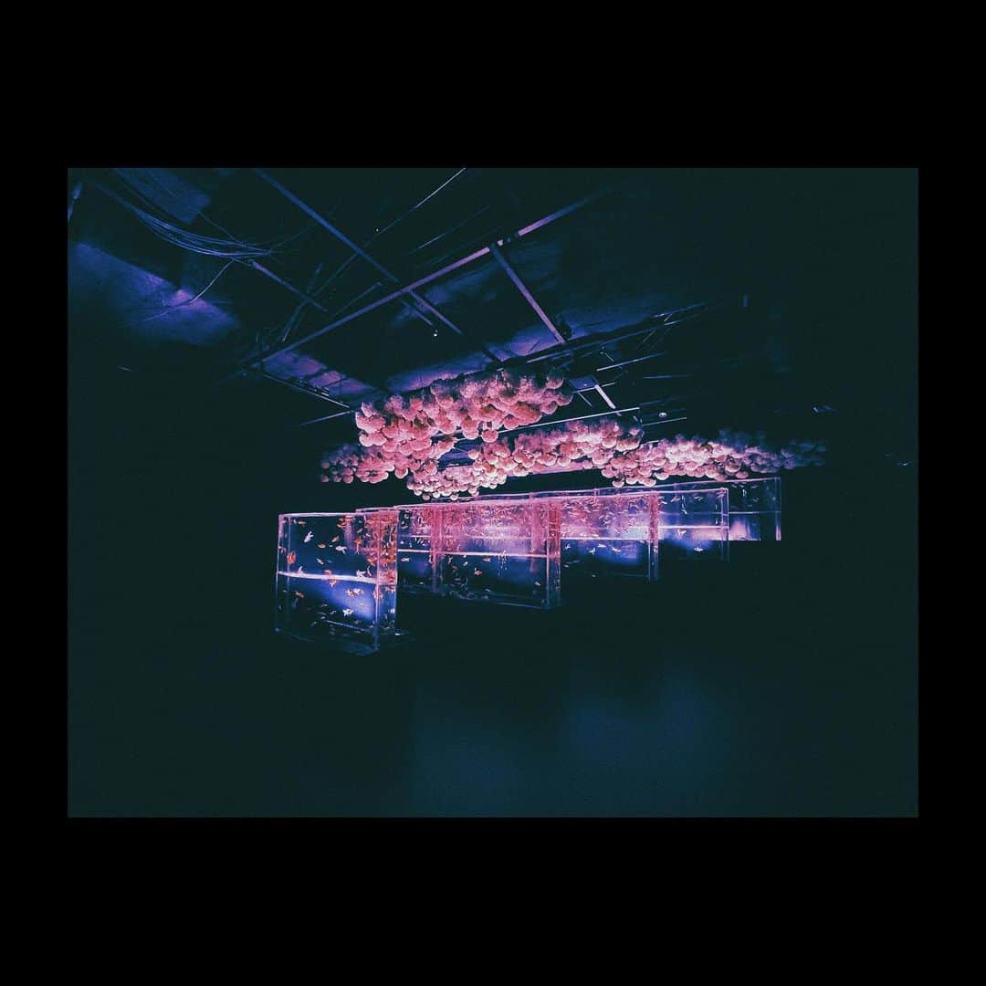 田口司のインスタグラム：「#photography #photooftheday #vsco #japan #tokyo」