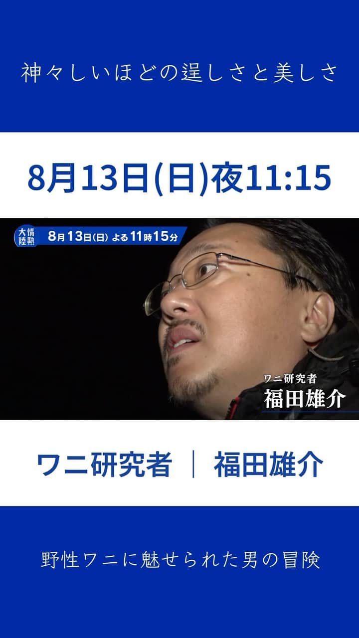TBS「情熱大陸」のインスタグラム：「8月13日(日) 夜11:15放送  情熱大陸 ワニ研究者／福田雄介  神々しいほどの逞しさと美しさ 野性ワニに魅せられた男の冒険    真っ暗闇の川を進むボート…ワニ研究者・福田雄介がサーチライトで水面を照らすと、ピンク色の目が光った。「Oh Big Boy!!」世界最大級、野性のイリエワニだ。 福田は、オーストラリア北部・ノーザンテリトリー政府に勤める研究者。フィールドワークで、イリエワニの生息数や分布を調べている。福田の科学的なデータは、オーストラリア連邦政府がワニ保護の施策を決めるための重要な指針ともなっている。  「時々本気で思うんです。僕はワニを守るために生まれてきたんじゃないかって…」  趣味は、イリエワニの撮影。 調査のない休日も、プライベートで川へ船を出す。レンズを覗く目は少年のようだった。  イリエワニを愛してやまない研究者のユニークな日々を見つめた。  ＃情熱大陸 ＃福田雄介 ＃イリエワニ」
