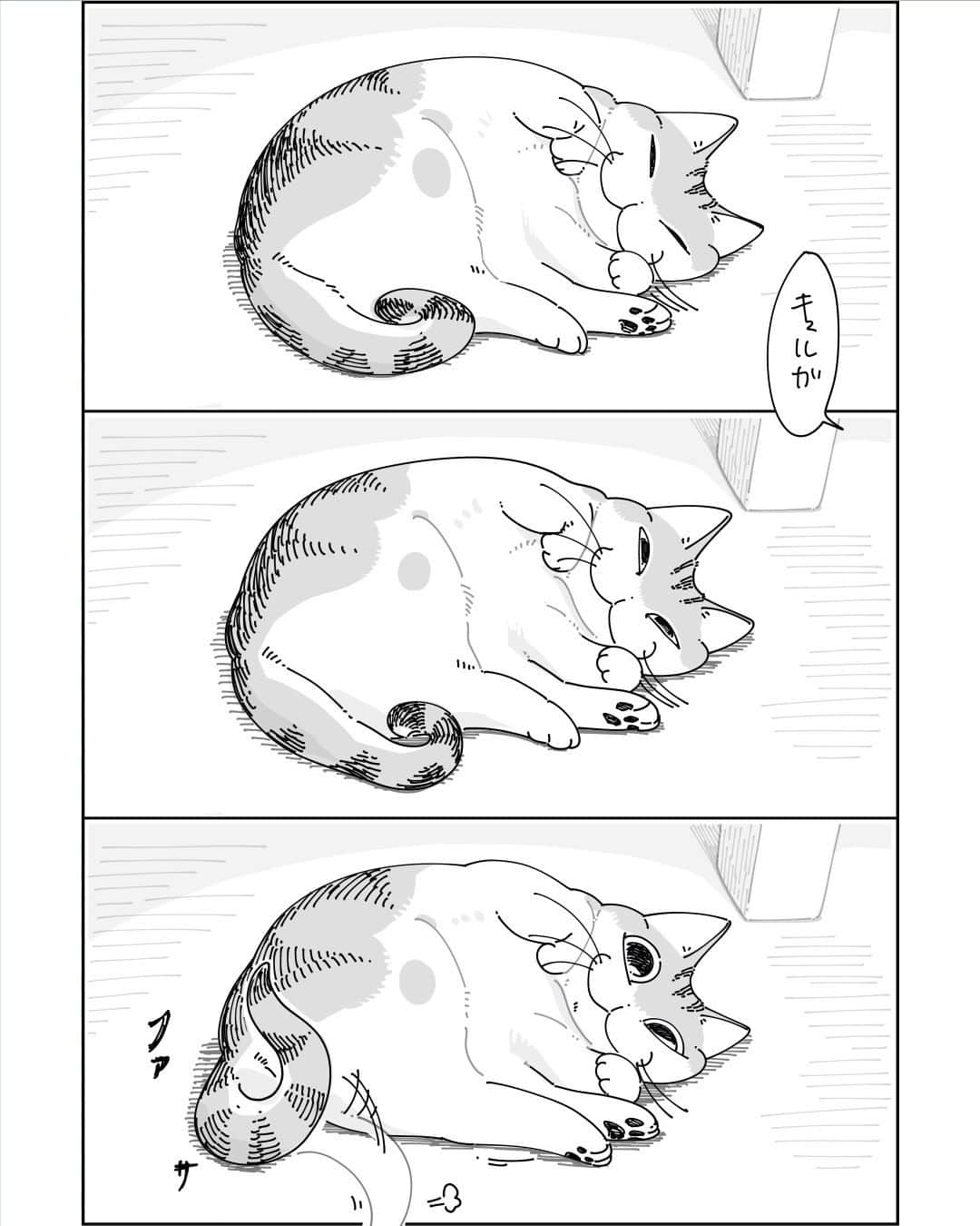 キュルZのインスタグラム：「しっぽで返事  #キュルガ #夜は猫といっしょ #猫 #cat #猫漫画 #猫のいる暮らし」