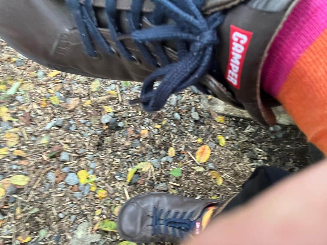 のインスタグラム：「森を散歩したよ！」
