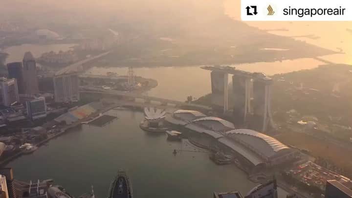 リー・シェンロンのインスタグラム：「@singaporeair cabin crew are indeed multi-talented!  I enjoyed their heartfelt rendition of the 2021 National Day song, “The Road Ahead”, released to celebrate Singapore’s 58th birthday.  The global pandemic struck a devastating blow to the airline and aviation industry, yet SIA has emerged from the crisis stronger and more resilient. Our road ahead will not be easy, but as the past few years have shown, with determination, sacrifice and effort, we can face down our challenges and move #OnwardAsOneSG with confidence and hope.  I have some work trips in the coming months; look forward to flying SIA again! – LHL 🇸🇬」
