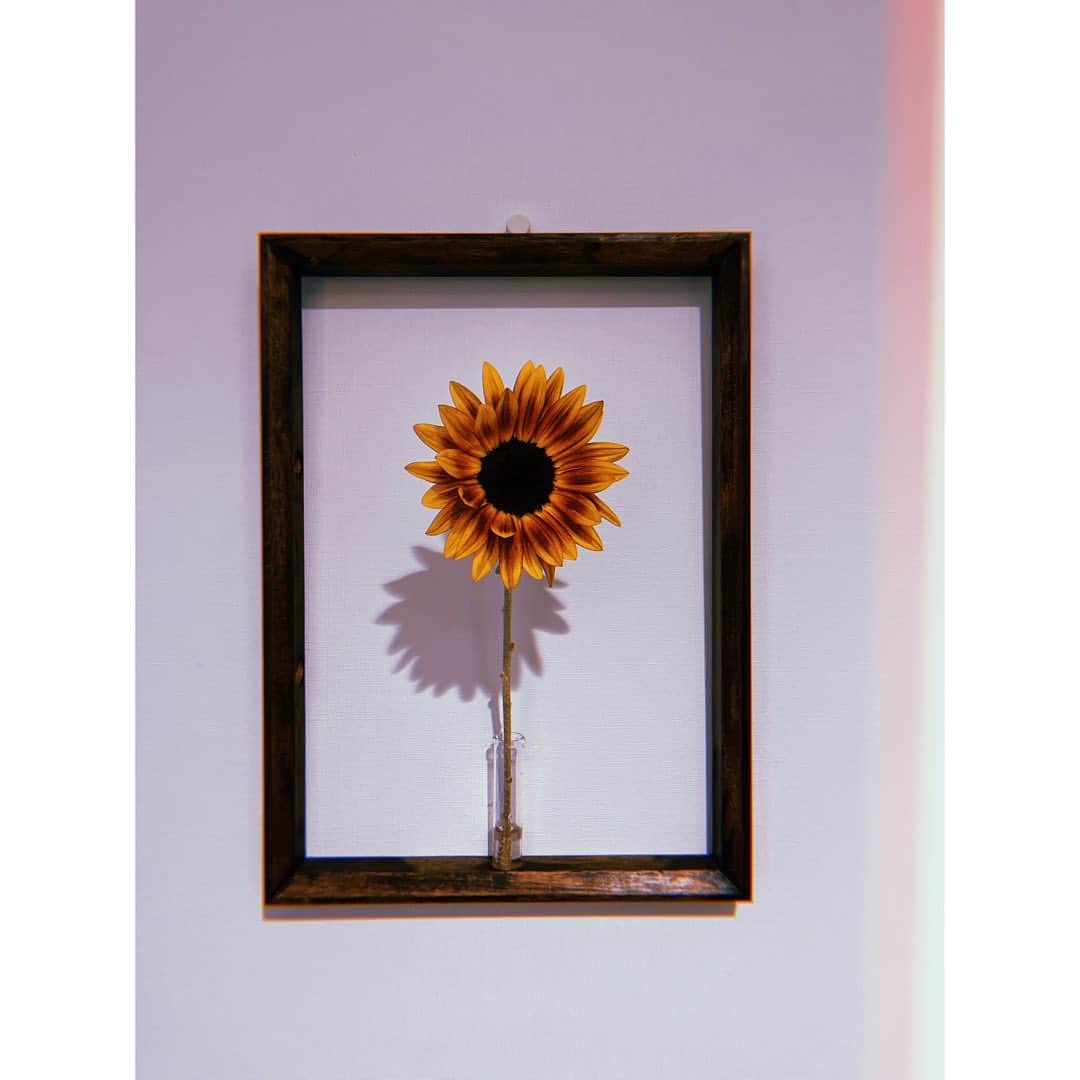 木下晴香のインスタグラム：「🌻  今年もヒマワリお出迎え☺︎」